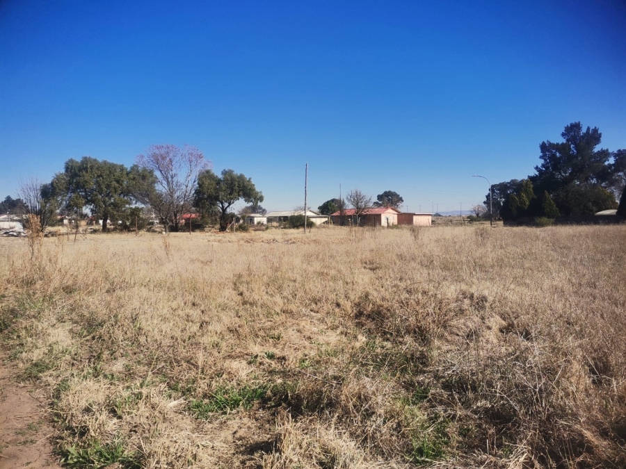 3 Bedroom Property for Sale in Senekal Free State